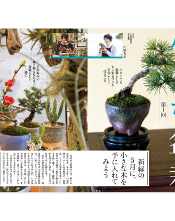 趣味の園芸20175月号17