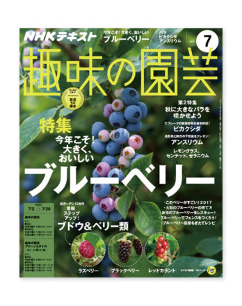 趣味の園芸20177月号_01