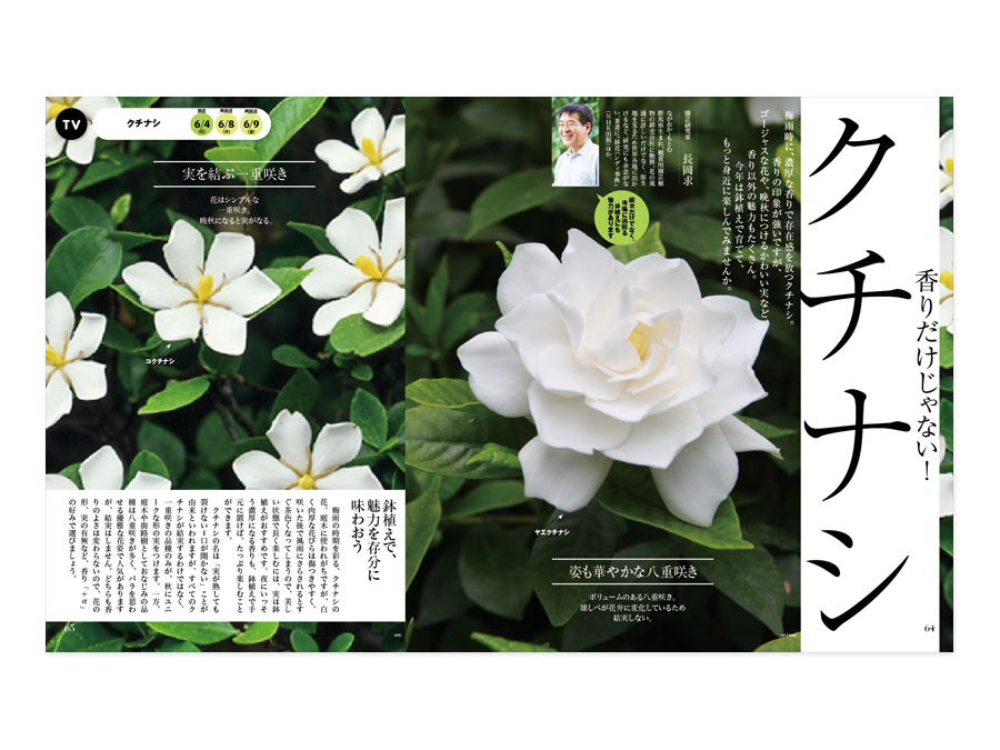 7 Okamoto Issen Graphic Design Co Ltd 7 Okamoto Issen Graphic Design Co Ltd