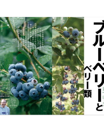 趣味の園芸20177月号_05