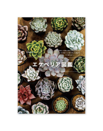 趣味の園芸　エケベリア03 のコピー