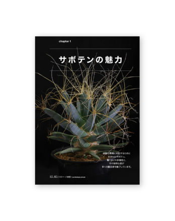 趣味の園芸 neo サボテン03 のコピー