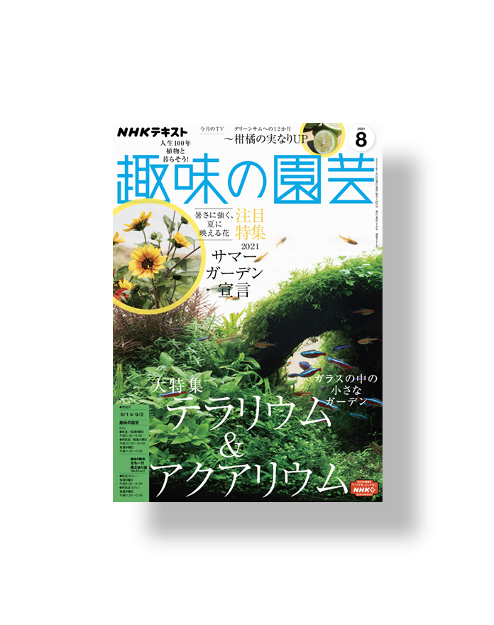 Okamoto Issen Graphic Design Co Ltd 岡本一宣デザイン事務所のwebサイトです