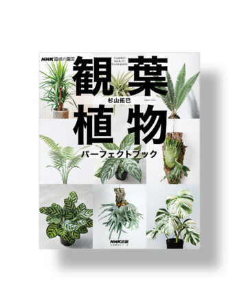 A perfect book on house plants