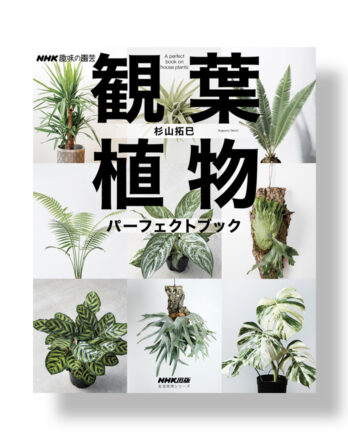 A perfect book on house plants