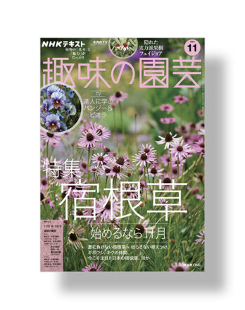 Shumi no Engei November 2025