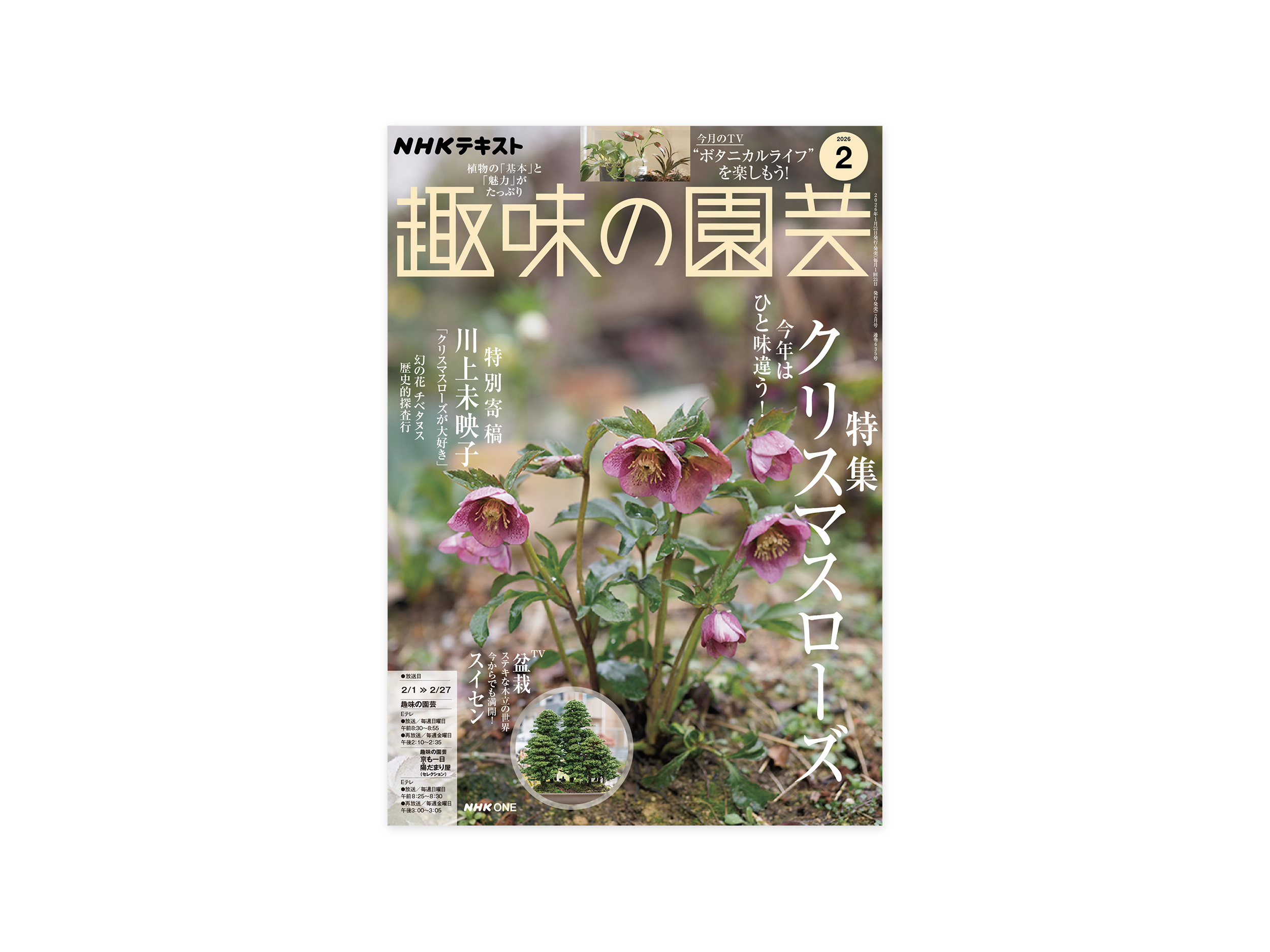 Shumi no Engei February 2025